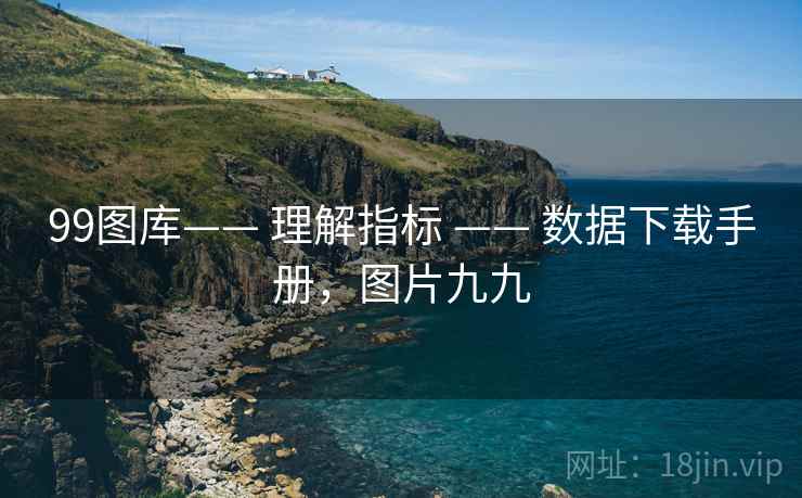 99图库—— 理解指标 —— 数据下载手册，图片九九